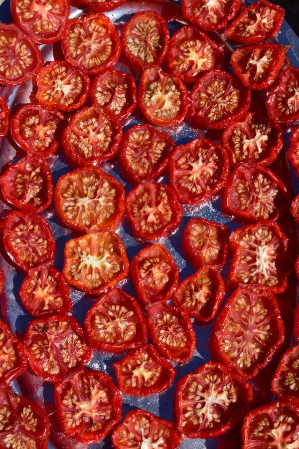 A pan of dehydrated tomatoes in the oven