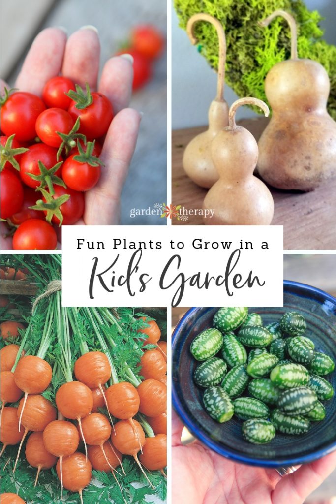 Fun Plants to Grow in a Kid's Garden