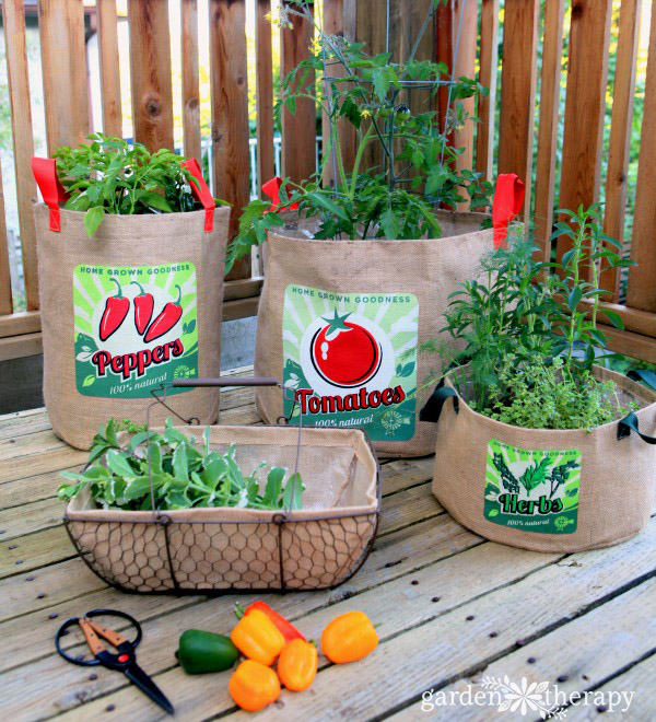 growing vegetables in burlap bags