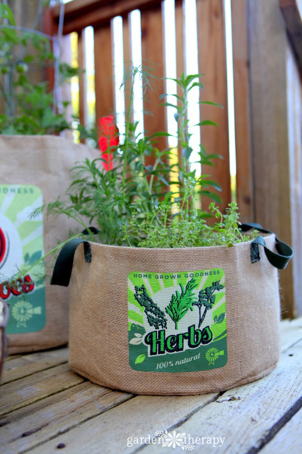 Portable Gardening: Growing Tomatoes, Peppers, and Herbs in Burlap