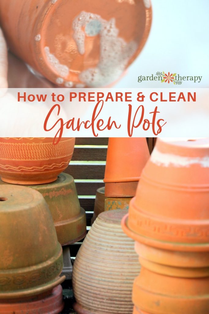 How To Clean Garden Pots Properly   How To Prepare And Clean Garden Pots 683x1024 