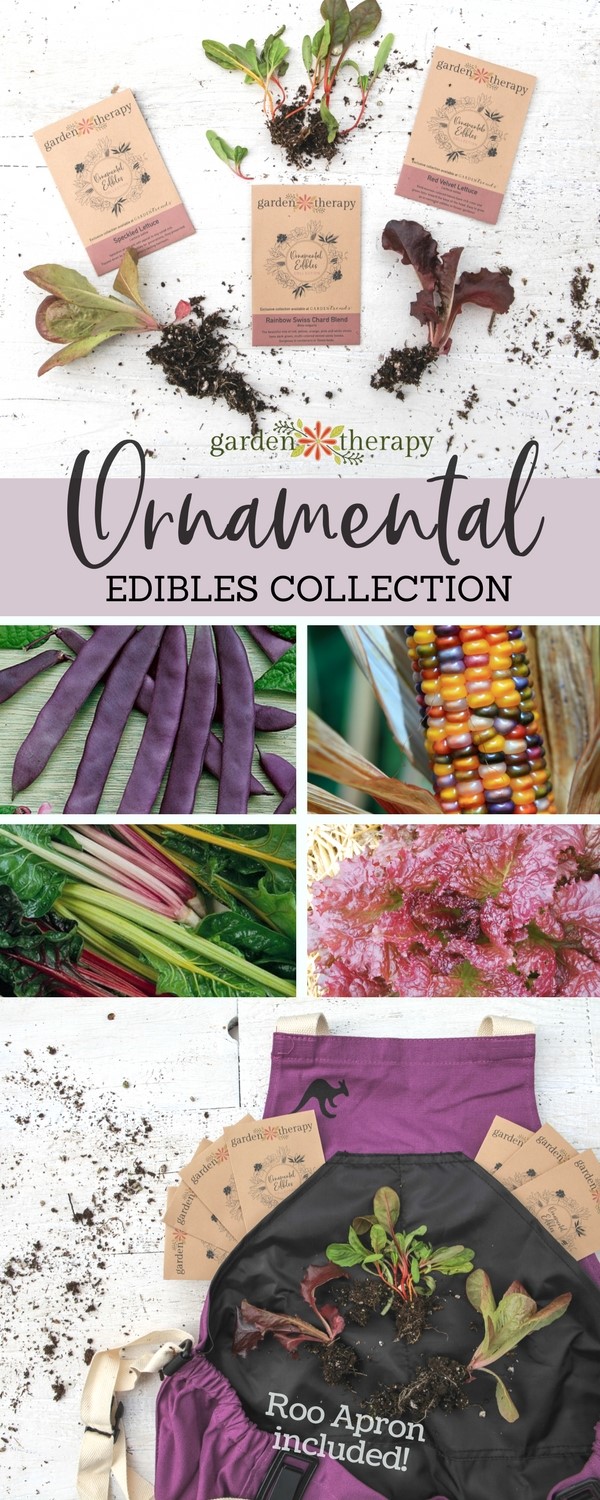 These ornamental edibles are so pretty that you're going to want to grow them on center stage. This DIY kit that has everything you need to grow your own edible garden that is as beautiful as it is delicious. #gardentherapy #gardentotable #foodscaping
