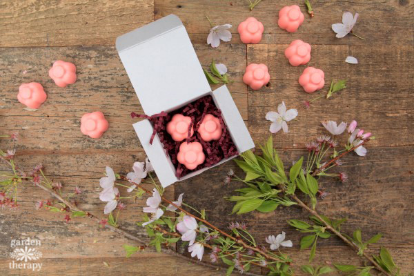 Packaged Cherry Blossom Sakura Soap