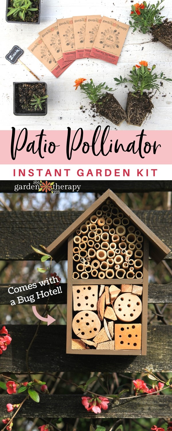 Patio Pollinator Instant Garden Kit