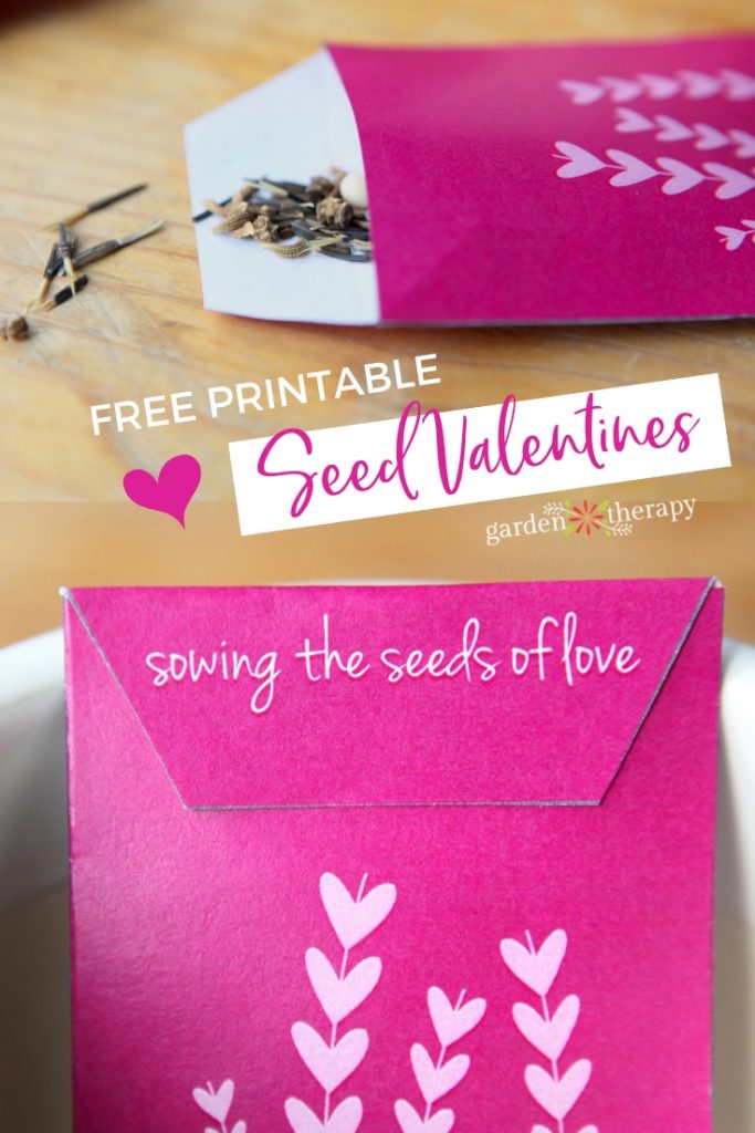 Printable Seed Valentine Envelopes for wildflower seeds.