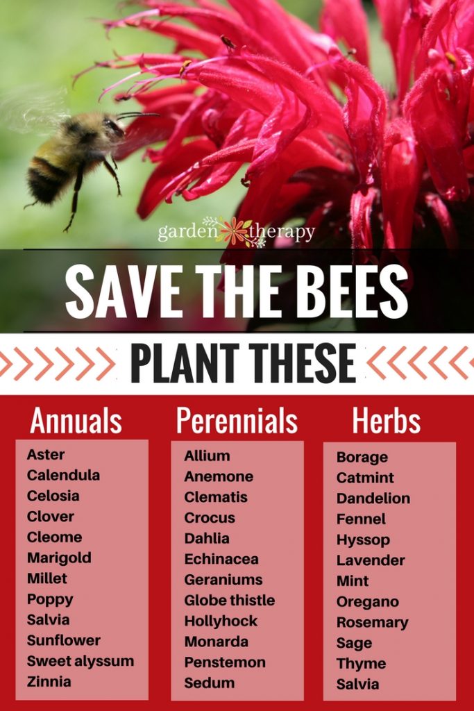 Liste des plantes que les abeilles aiment