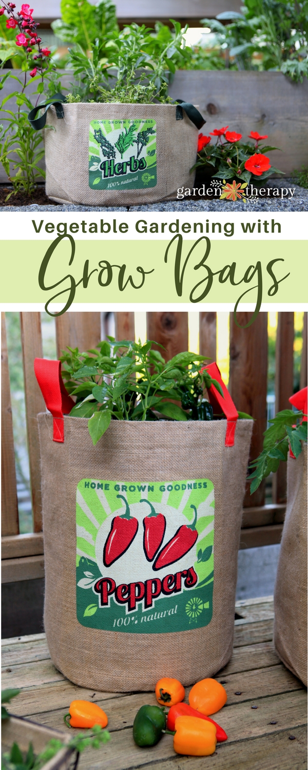 Grow bag kiddie pool planting. Tomatoes, peppers and a bush bean.