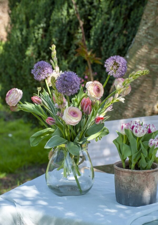 Plant Summer Flowering Bulbs for an Outstanding Display This Year
