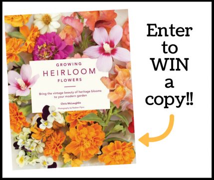 enter to win a copy of Growing Heirloom Flowers