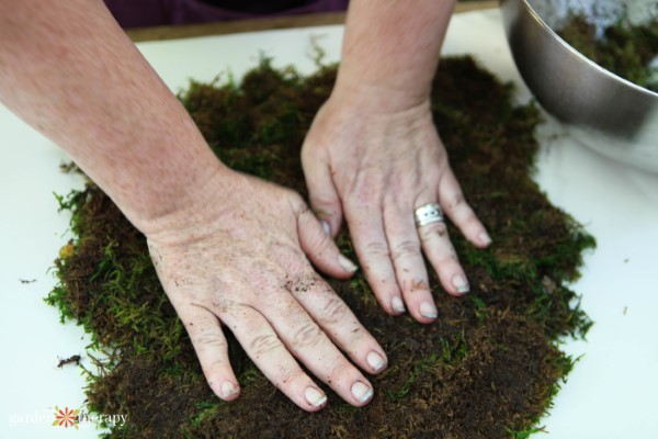 preparing moss