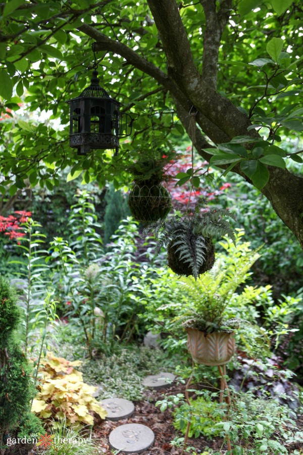 kokedama hanging in my garden