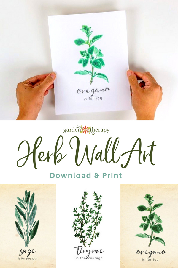 herb wall art to download and print