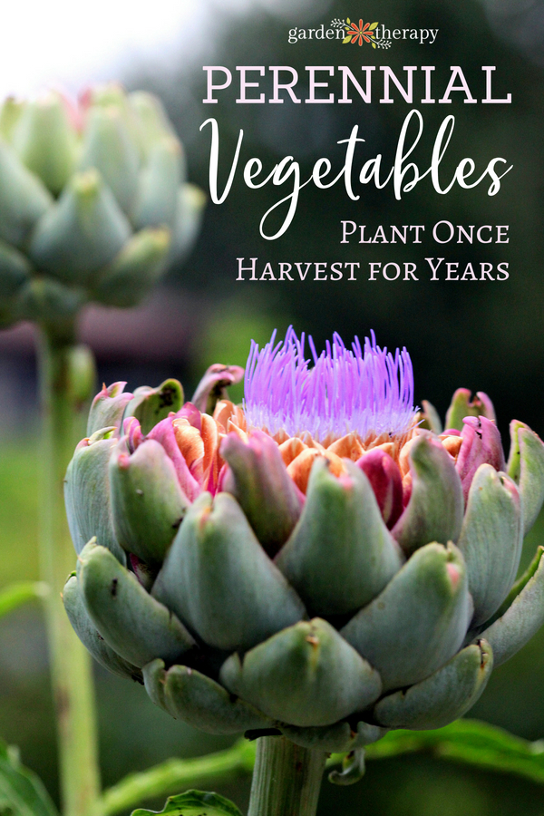 Perennial vegetables you can plant once and harvest for years