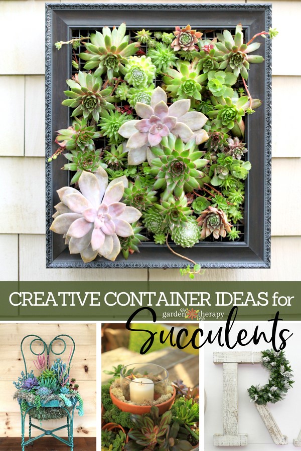 creative container ideas for succulents