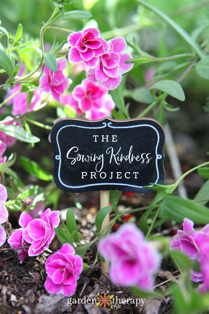 the sowing kindness project