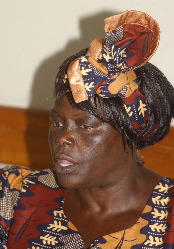 Wangari Maathai (Mothers of Nature)