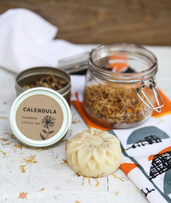 Calendula lotion bars next to dried calendula petals