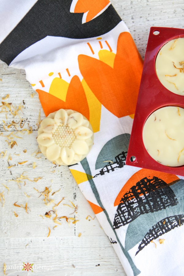 Calendula Lotion Bars for Soothing Summer Skin - Garden Therapy