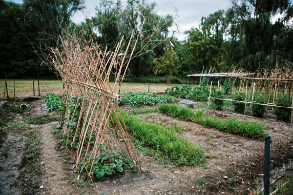 a Chinese intensive garden with double-dug beds