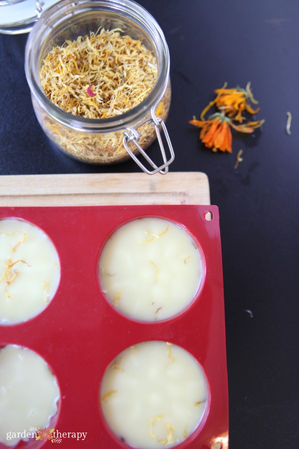 Making calendula summer lotion bars