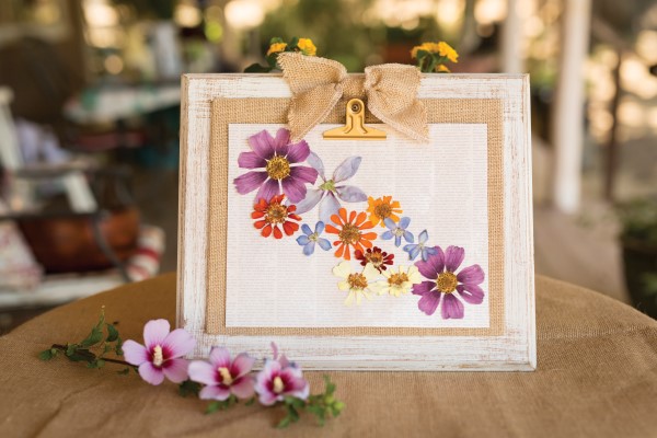 how to frame pressed flowers: pressed flowers in a frame make beautiful decor