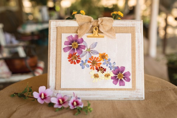 pressed and framed heirloom flowers