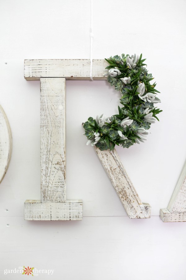 Add succulents to wooden letters