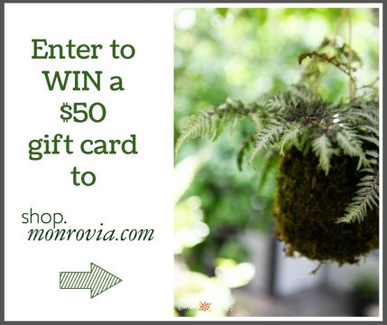 enter to win a $50 gift card from Monrovia