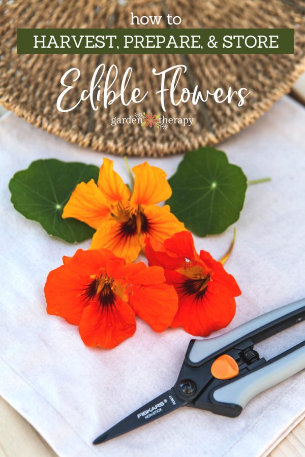 Harvesting, Preparing, and Storing Edible Flowers Garden Therapy