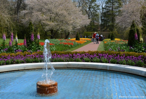 taking a garden tour for mental health