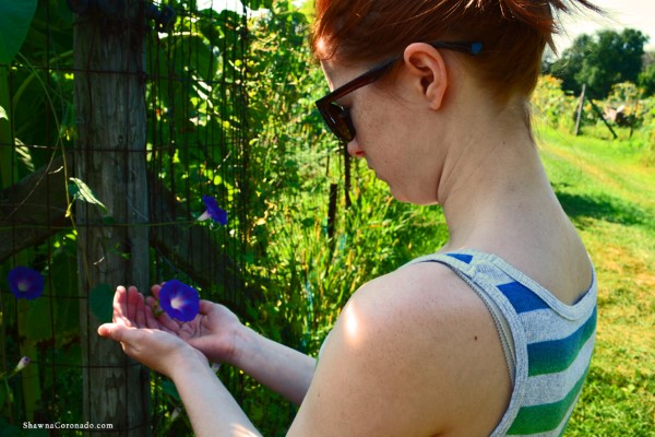 engaging with plants boosts mental wellness