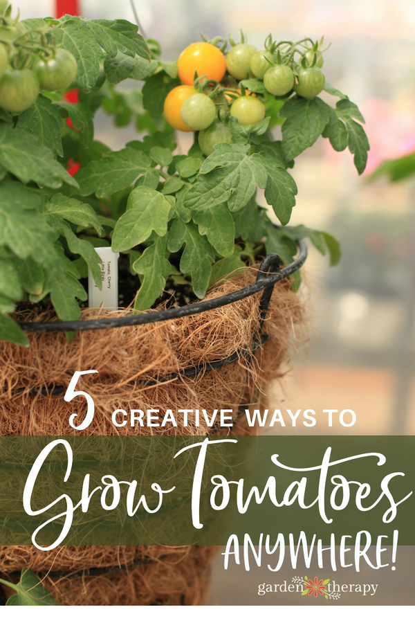 Portable Gardening: Growing Tomatoes, Peppers, and Herbs in Burlap Grow Bags  - Garden Therapy