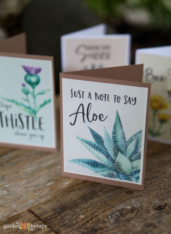 just a note to say aloe card