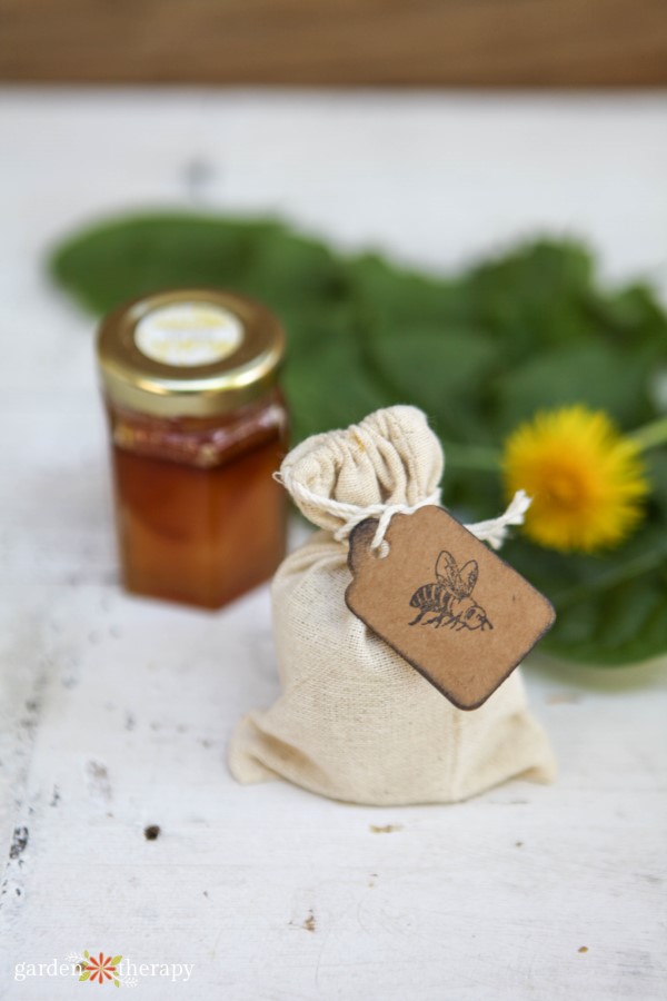 Homemade dandelion honey lip scrub