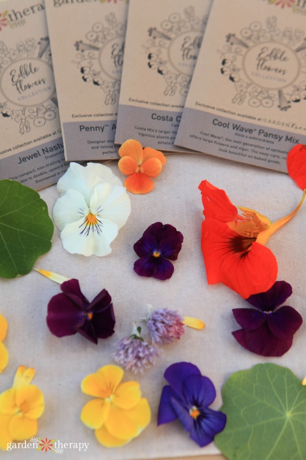 edible viola flowers