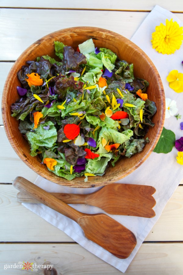 edible flower petals in a summer salad