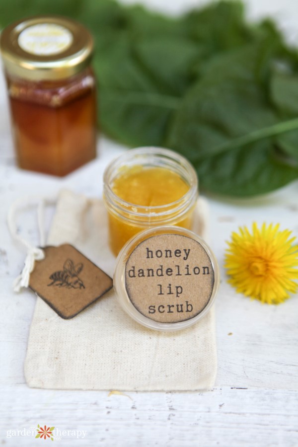 honey dandelion lip sugar scrub with decorative label