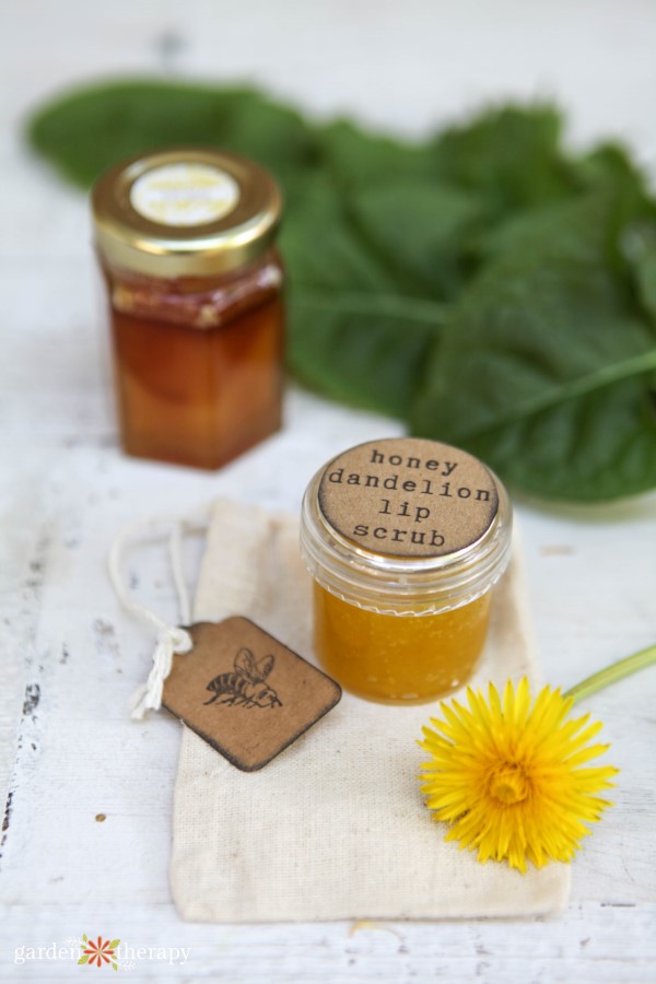 honey dandelion lip scrub recipe