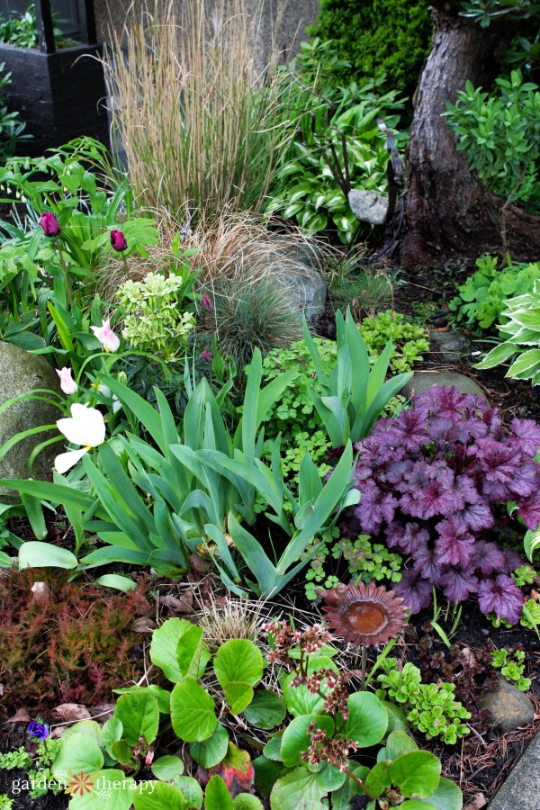 Perennials in the home garden