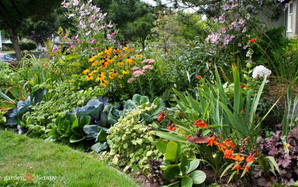 Garden bed during fire season