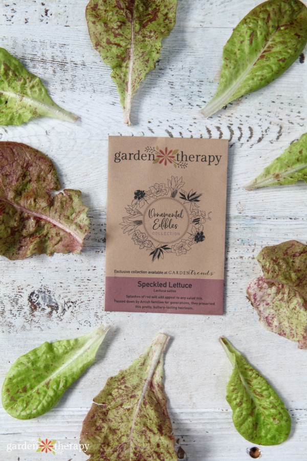 Garden Therapy Seed Collection Speckled Lettuce