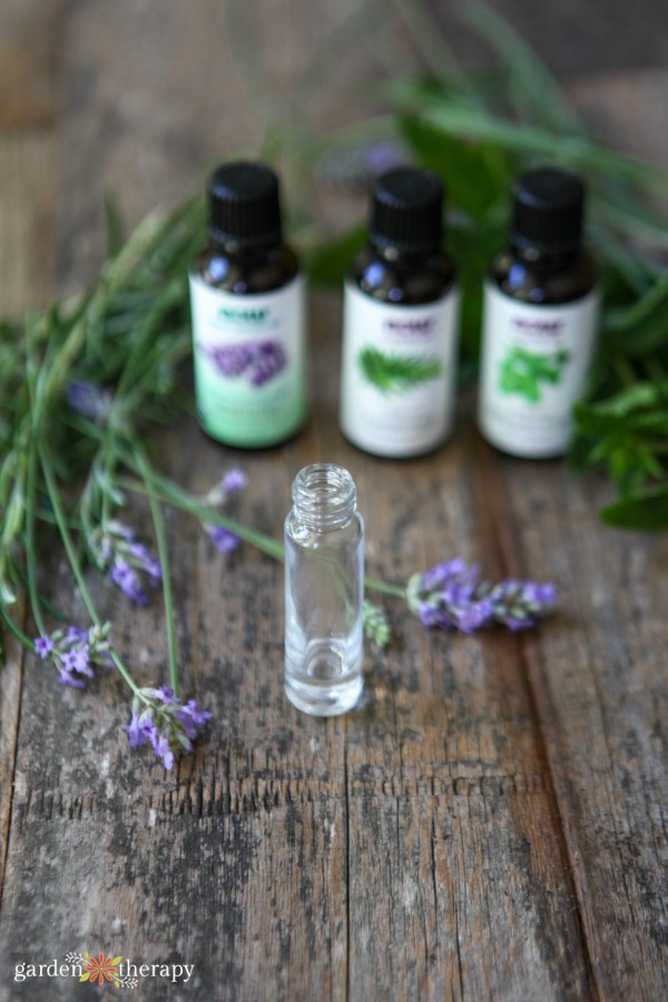 essential oils lined up to put in roller-ball