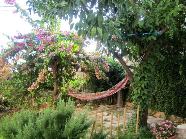 hammock in the garden