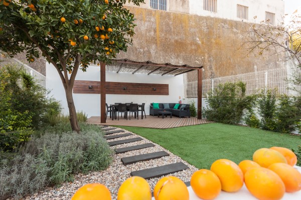 patio, lawn, and orange tree
