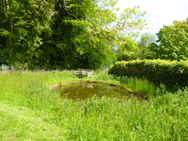 an outdoor bench by the pond