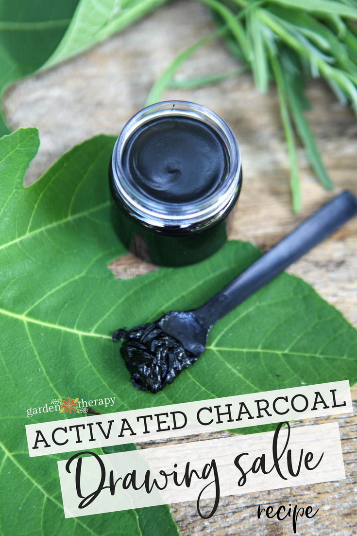 Activated Charcoal Drawing Salve Recipe for Bug Bites, Blisters