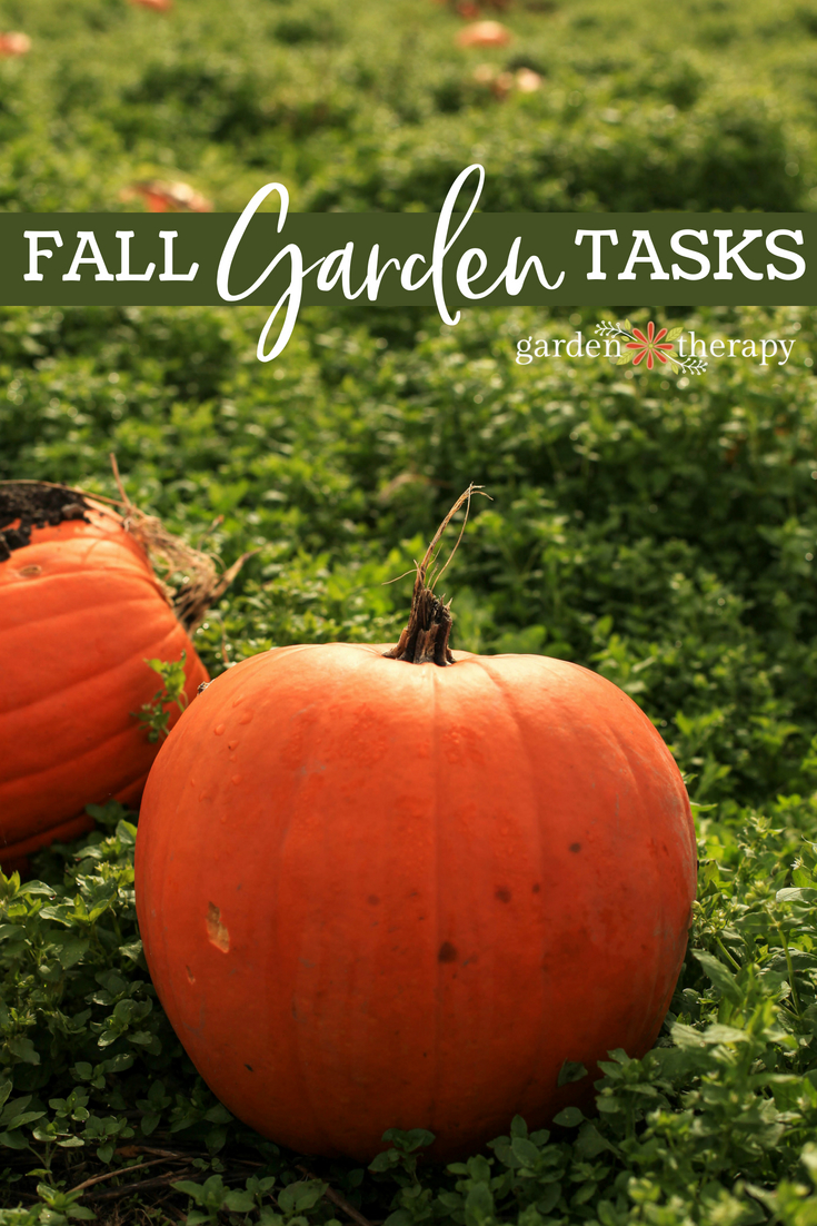 fall garden tasks