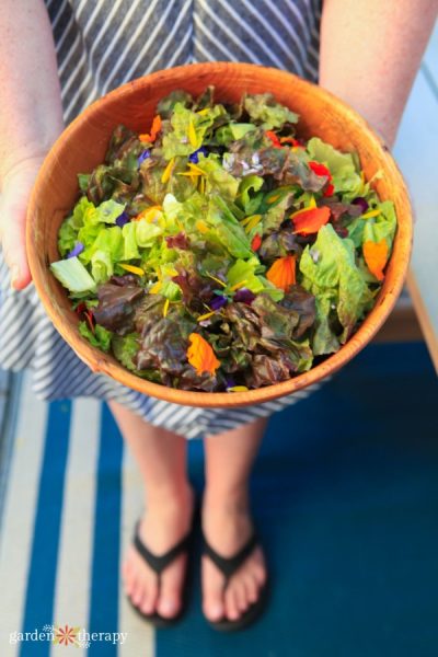 A salad topped with edible flowers