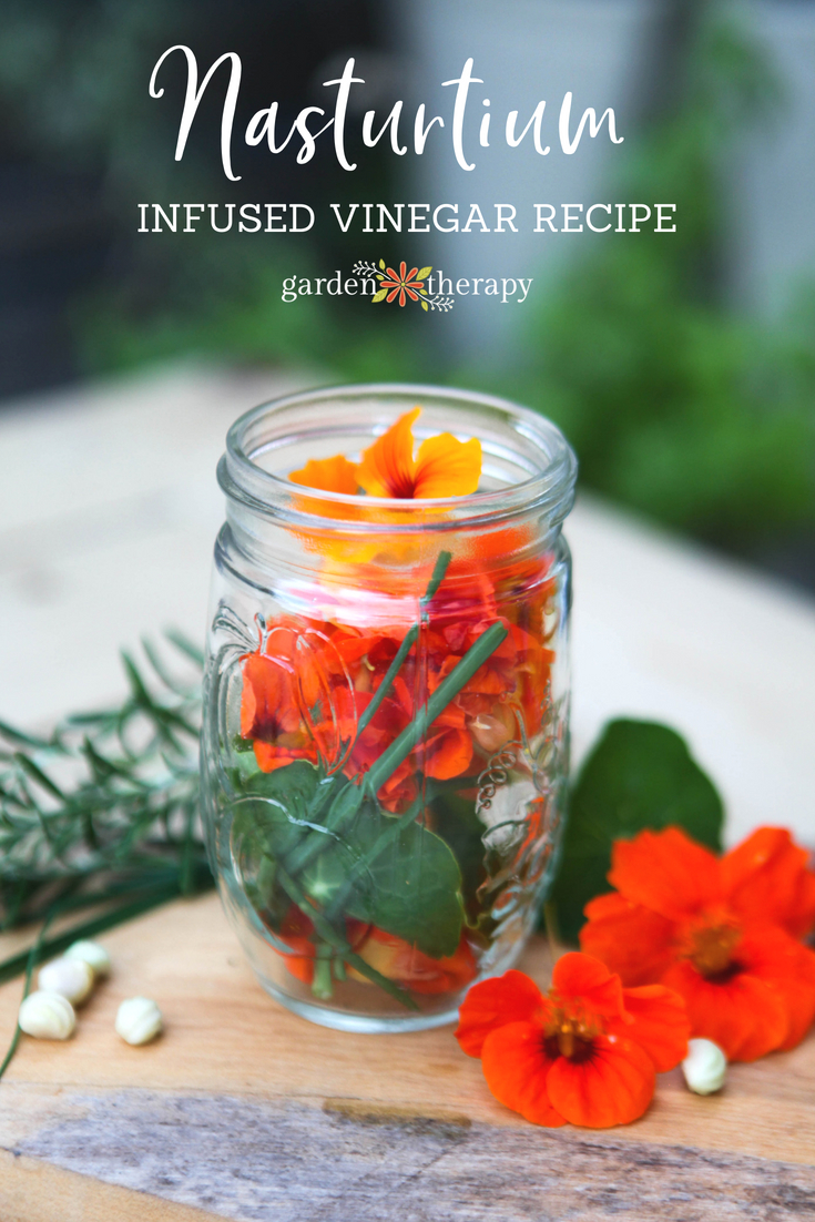 fresh herb and nasturtium infused vinegar