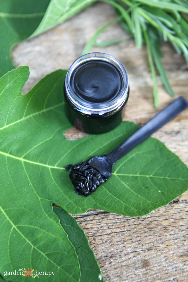 activated charcoal drawing salve on a green leaf